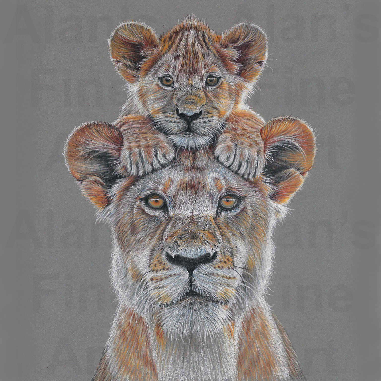 300 Lioness and cub MyScan 130x130 autocolour 10b 10c with watermark